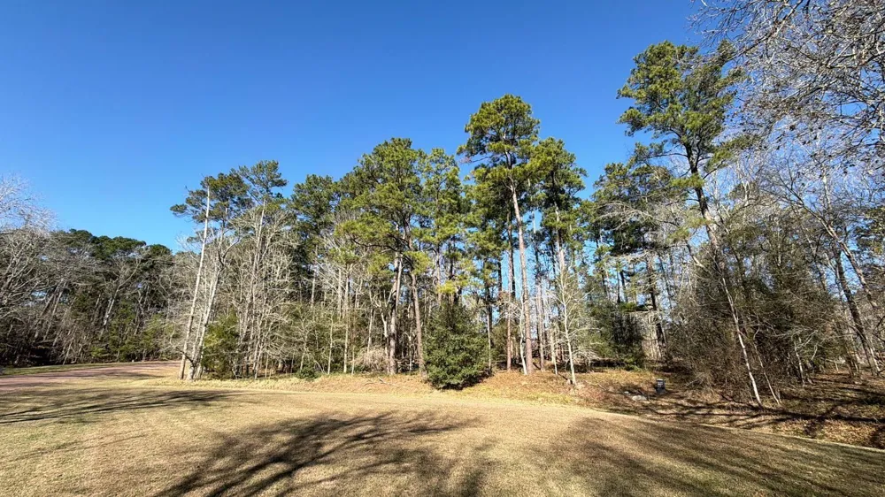 S Royale Greens Drive