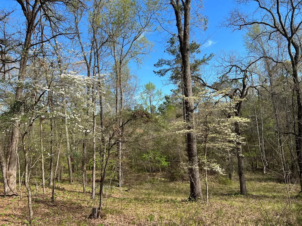 County Road 434 Lindale, TX 75771