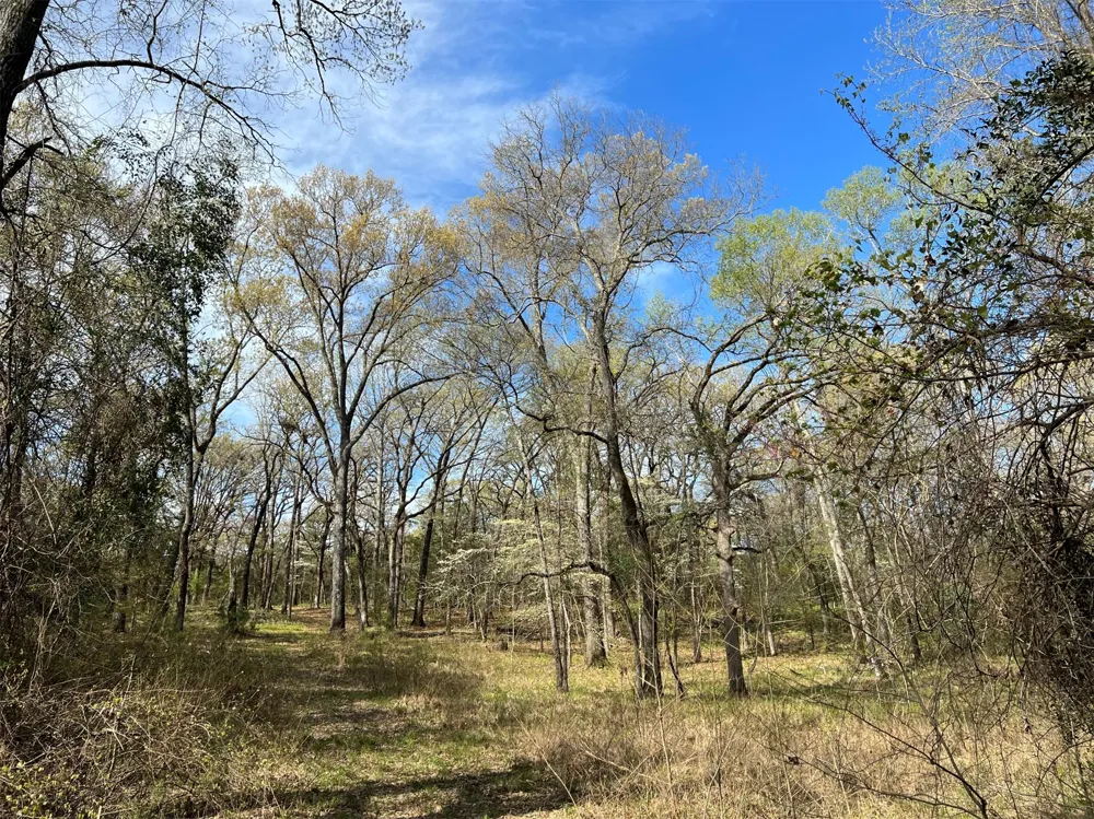 County Road 434 Lindale, TX 75771