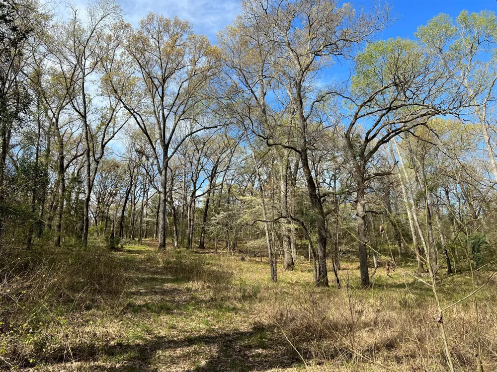 County Road 434 Lindale, TX 75771