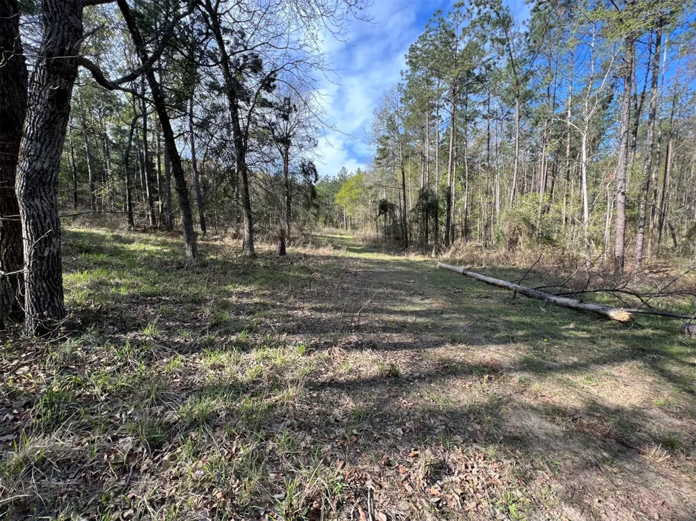 County Road 434 Lindale, TX 75771