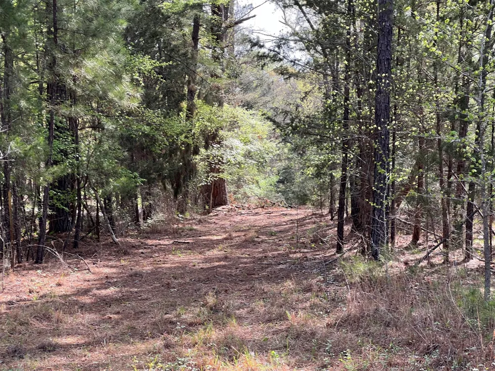 County Road 434 Lindale, TX 75771