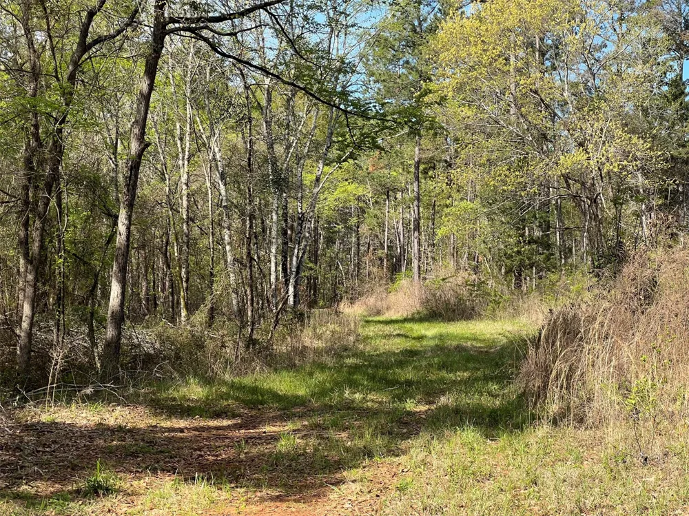 County Road 434 Lindale, TX 75771