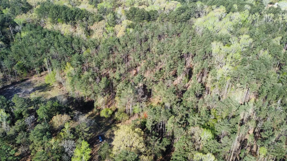 County Road 434 Lindale, TX 75771