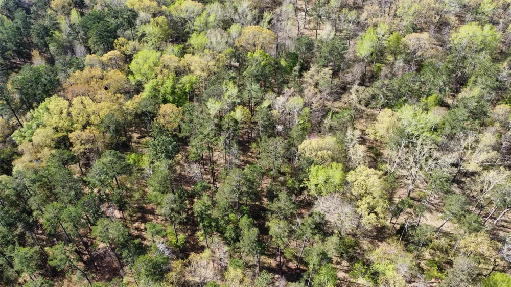 County Road 434 Lindale, TX 75771