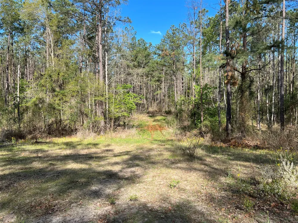 County Road 434 Lindale, TX 75771