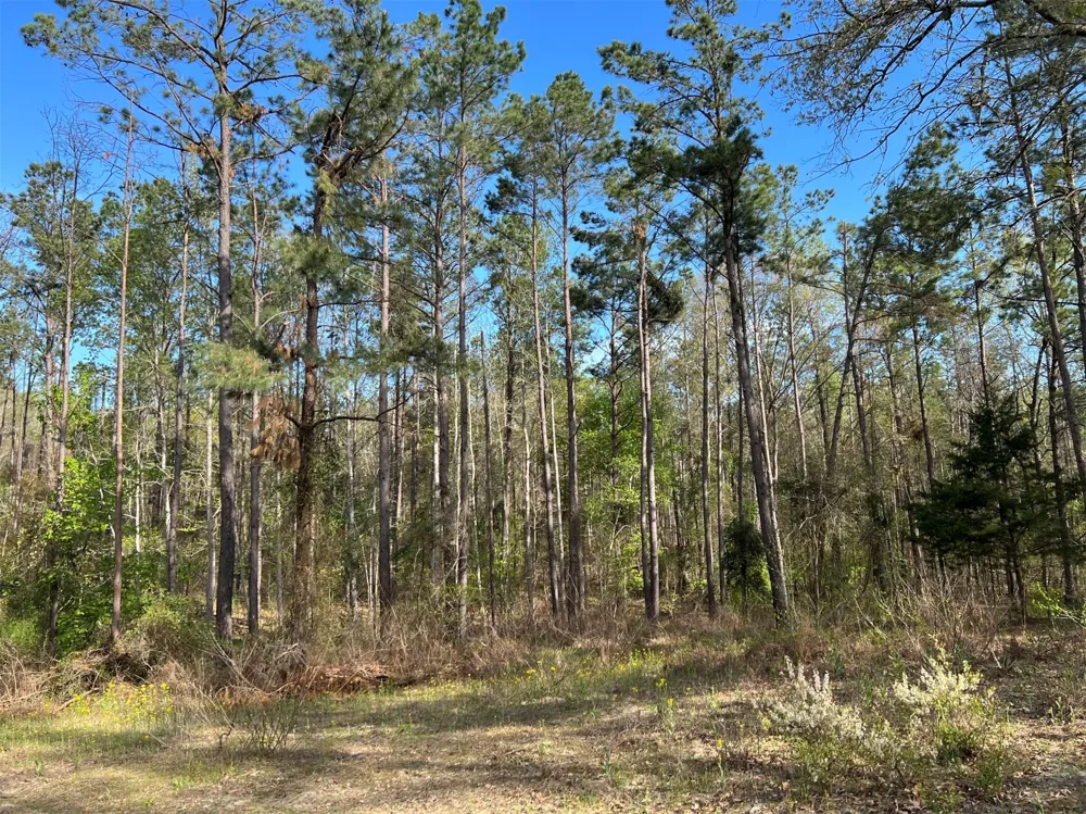 County Road 434 Lindale, TX 75771