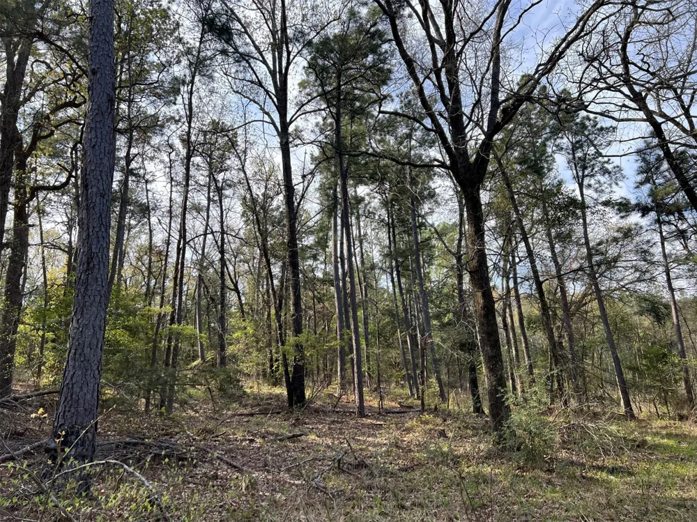 County Road 434 Lindale, TX 75771