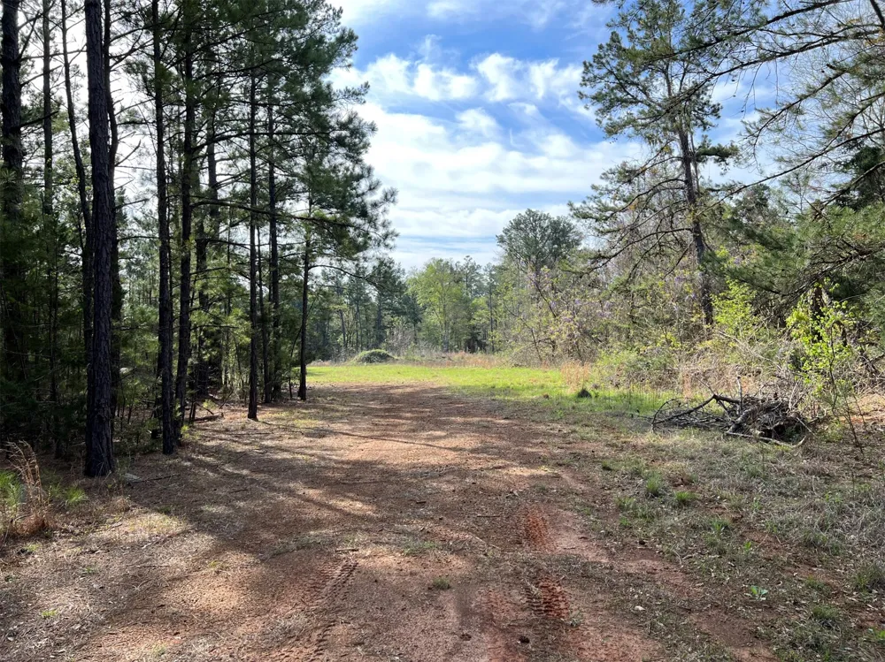 County Road 434 Lindale, TX 75771