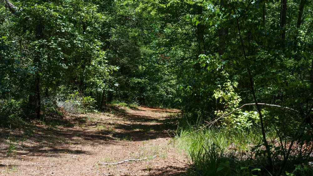County Road 434 Lindale, TX 75771