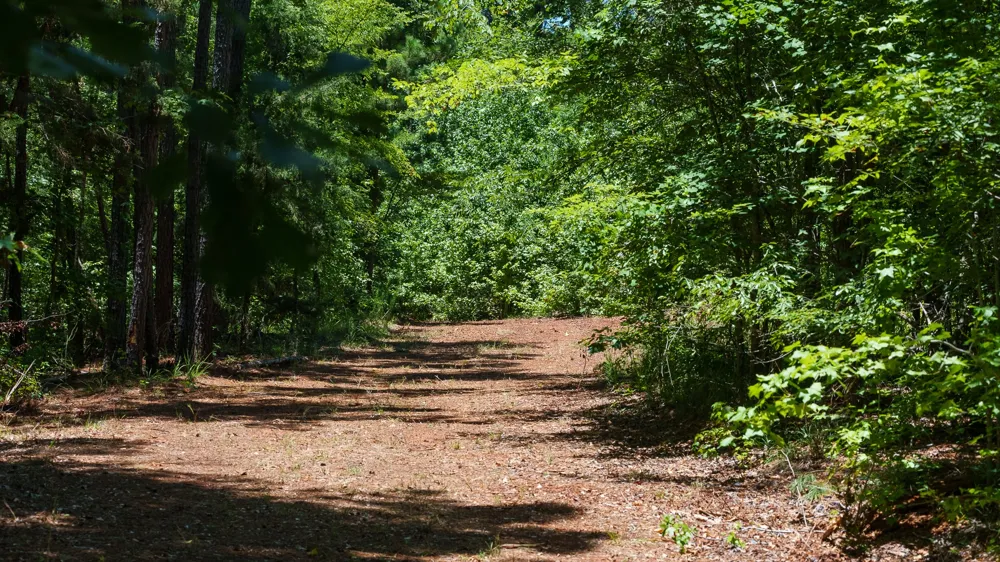 County Road 434 Lindale, TX 75771