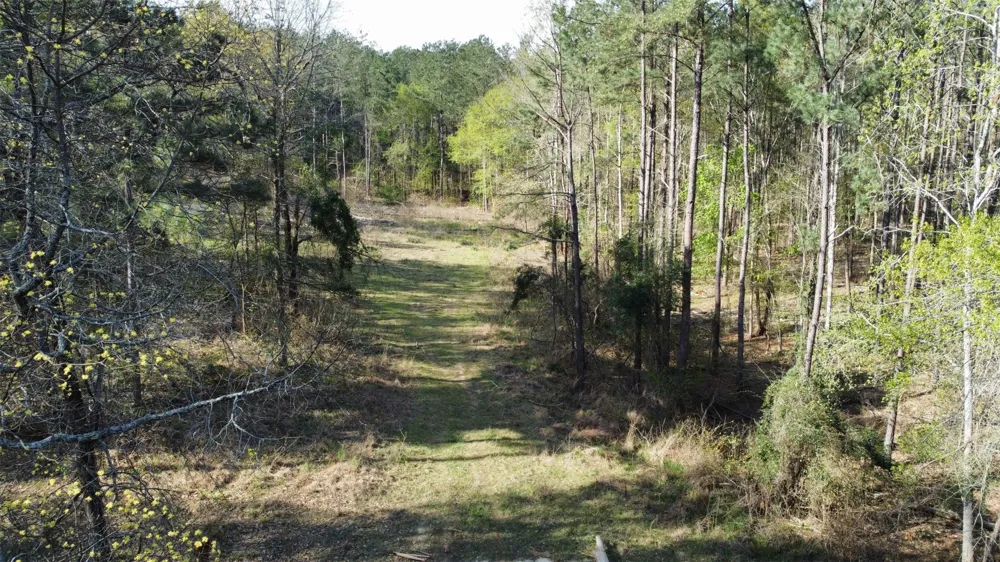 County Road 434 Lindale, TX 75771