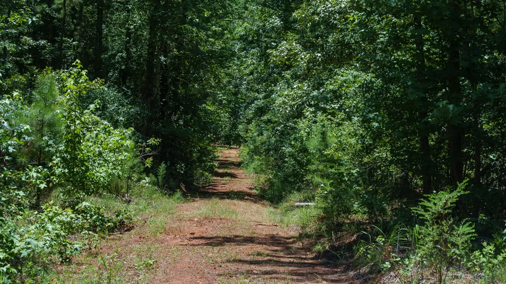 County Road 434 Lindale, TX 75771