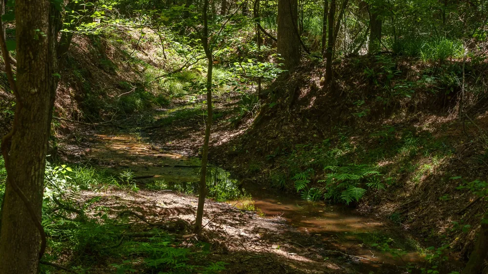 County Road 434 Lindale, TX 75771