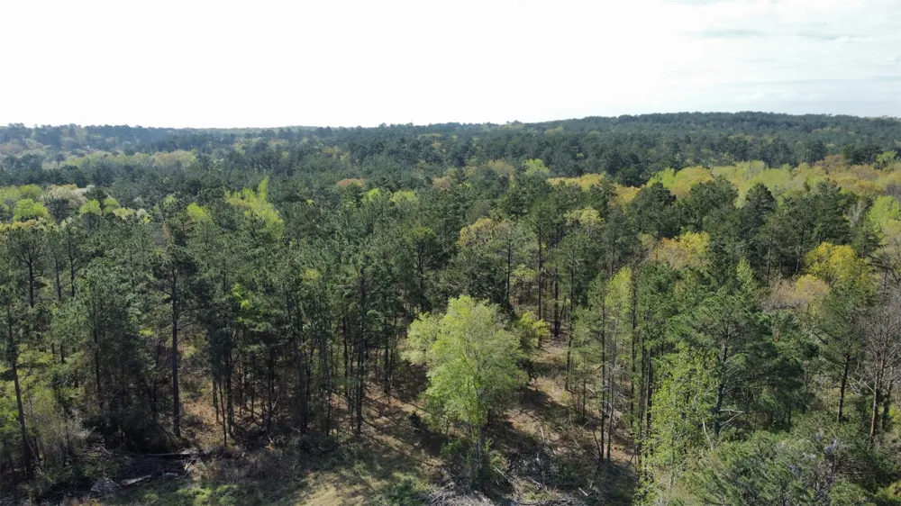County Road 434 Lindale, TX 75771