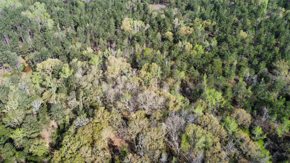County Road 434 Lindale, TX 75771