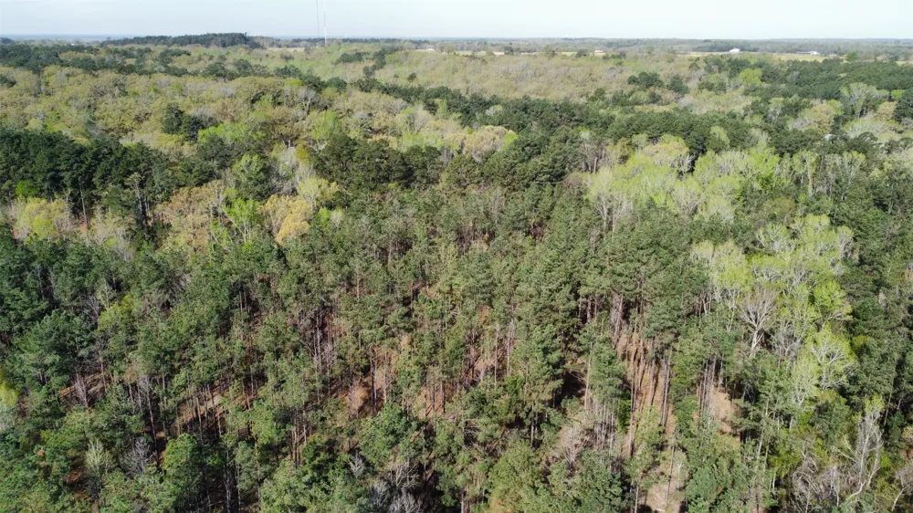 County Road 434 Lindale, TX 75771