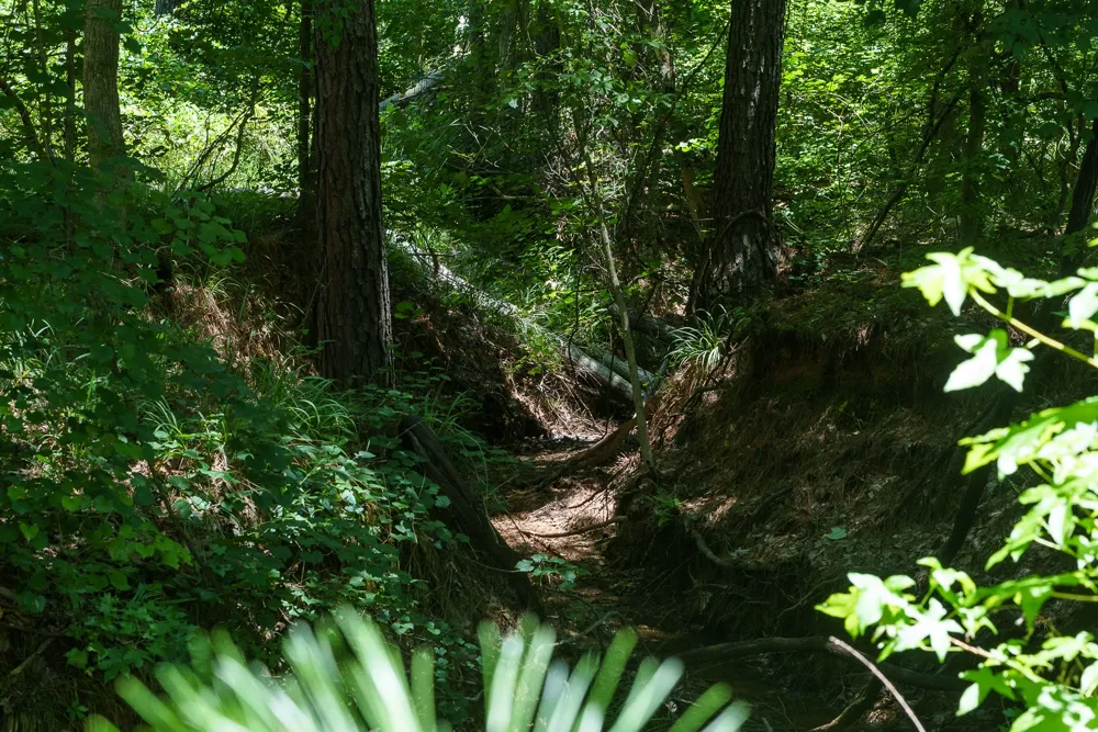 County Road 434 Lindale, TX 75771