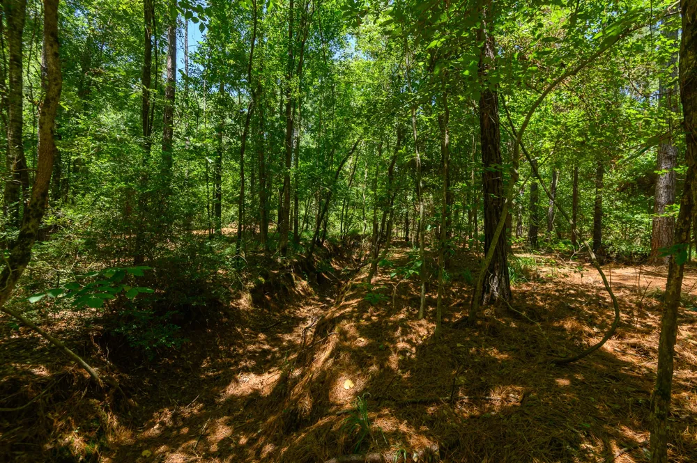 County Road 434 Lindale, TX 75771