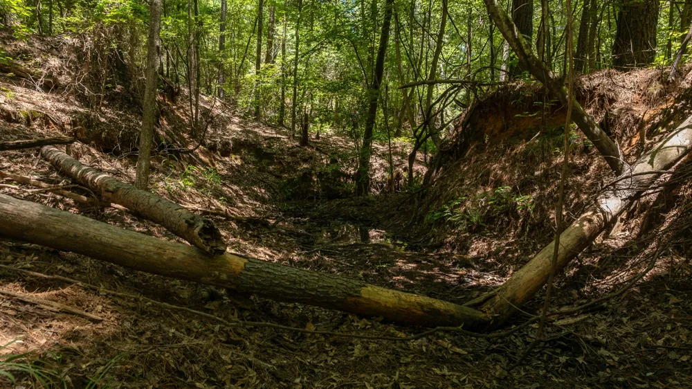 County Road 434 Lindale, TX 75771