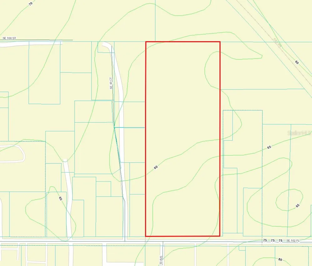 00 SE 102 PLACE Belleview, FL 34420
