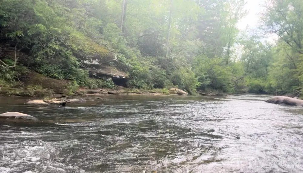 132 Howser Drive Casar, NC 28030