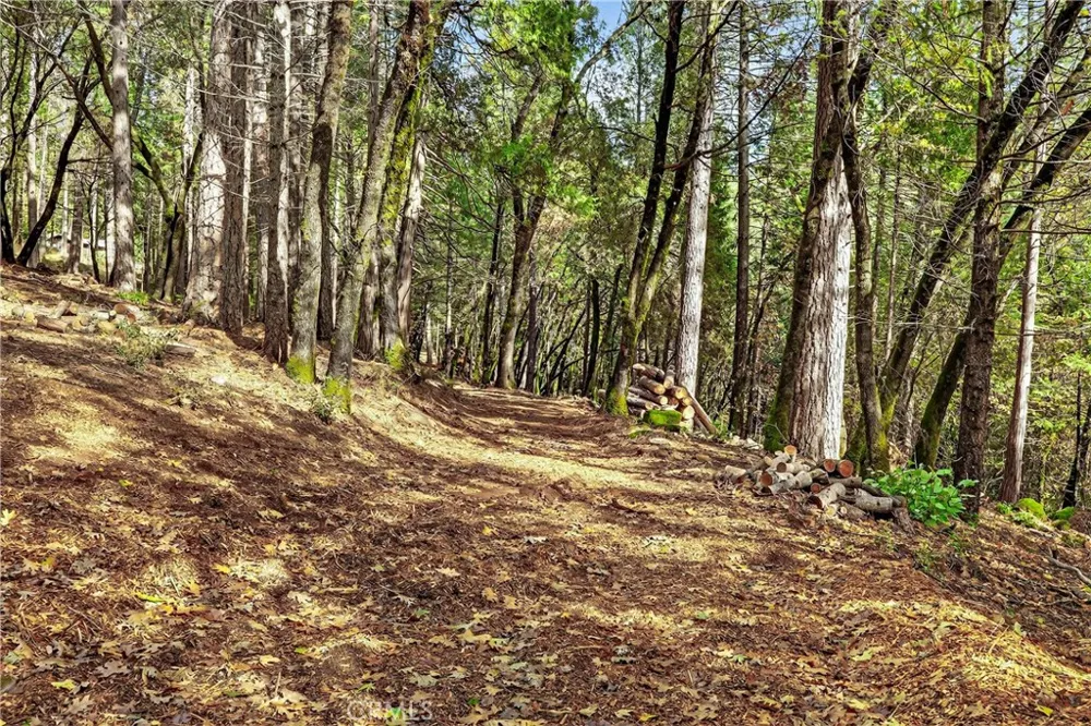 Cedar Creek Forest Ranch, CA 95942