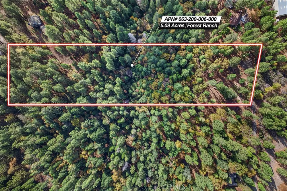 Cedar Creek Forest Ranch, CA 95942