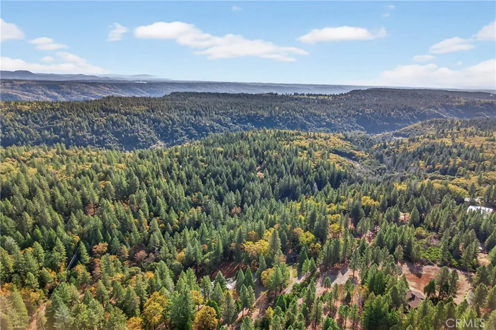 Cedar Creek Forest Ranch, CA 95942