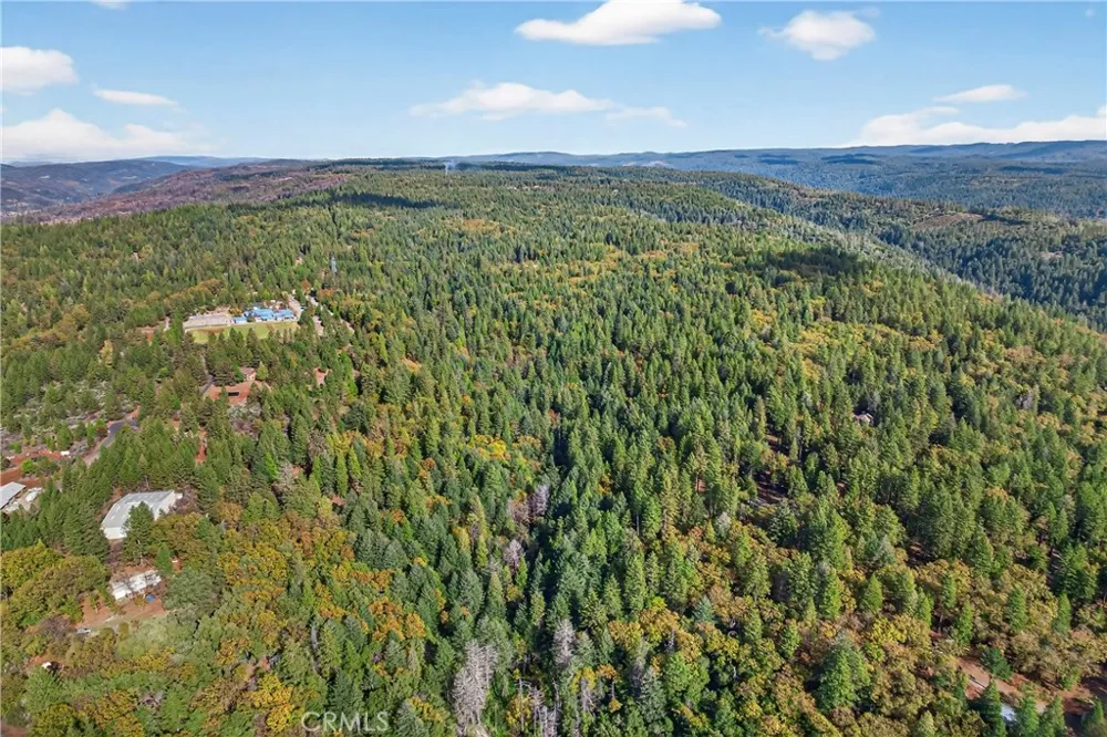 Cedar Creek Forest Ranch, CA 95942