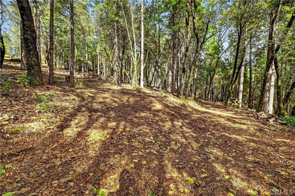 Cedar Creek Forest Ranch, CA 95942
