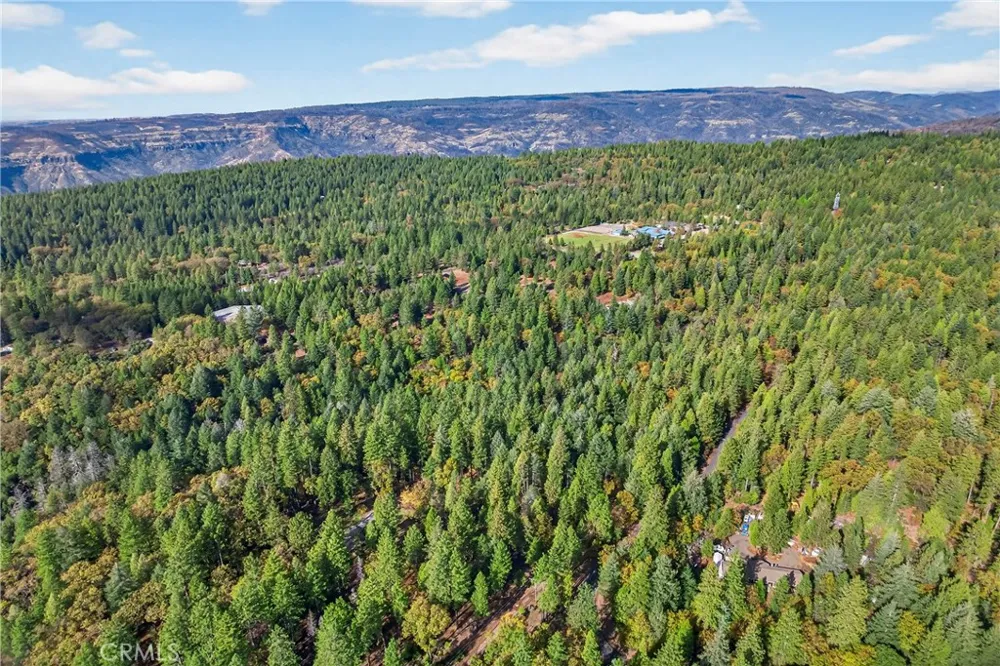 Cedar Creek Forest Ranch, CA 95942