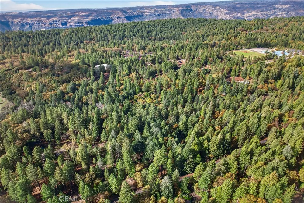 Cedar Creek Forest Ranch, CA 95942