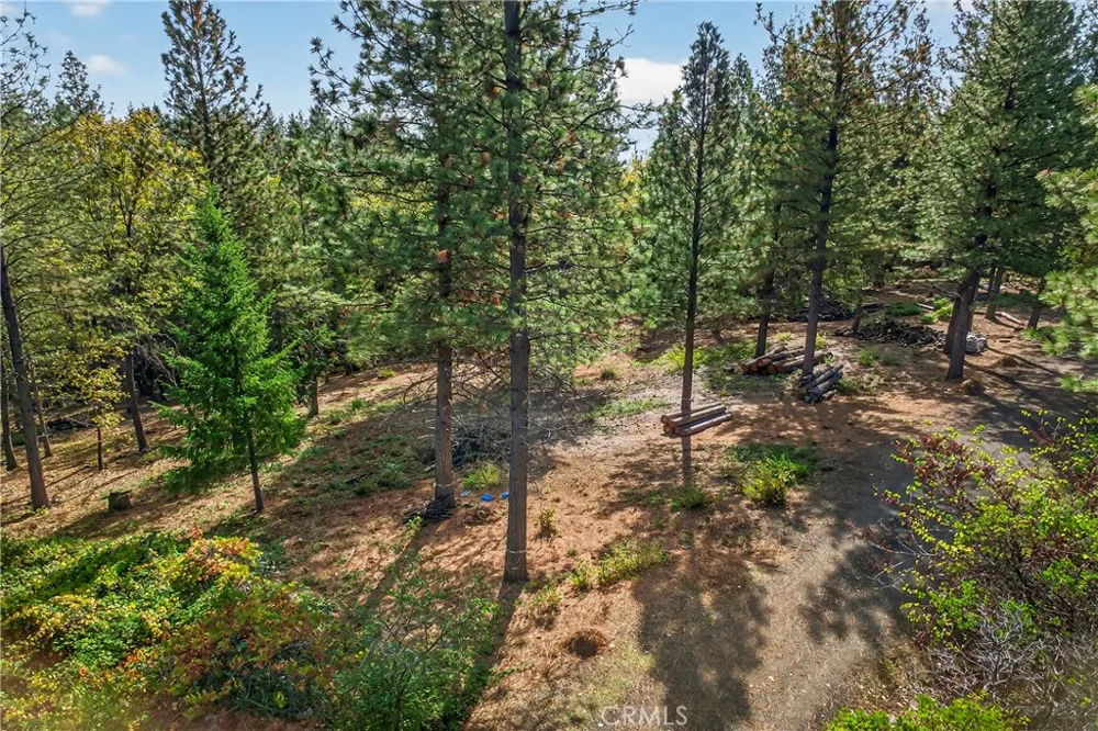 Cedar Creek Forest Ranch, CA 95942