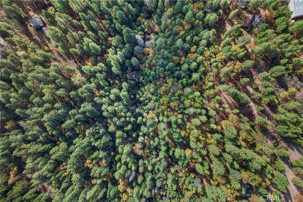 Cedar Creek Forest Ranch, CA 95942