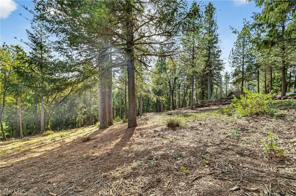 Cedar Creek Forest Ranch, CA 95942