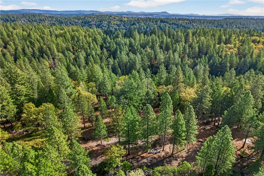 Cedar Creek Forest Ranch, CA 95942