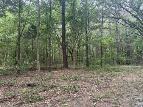 322 Kaiser Rd