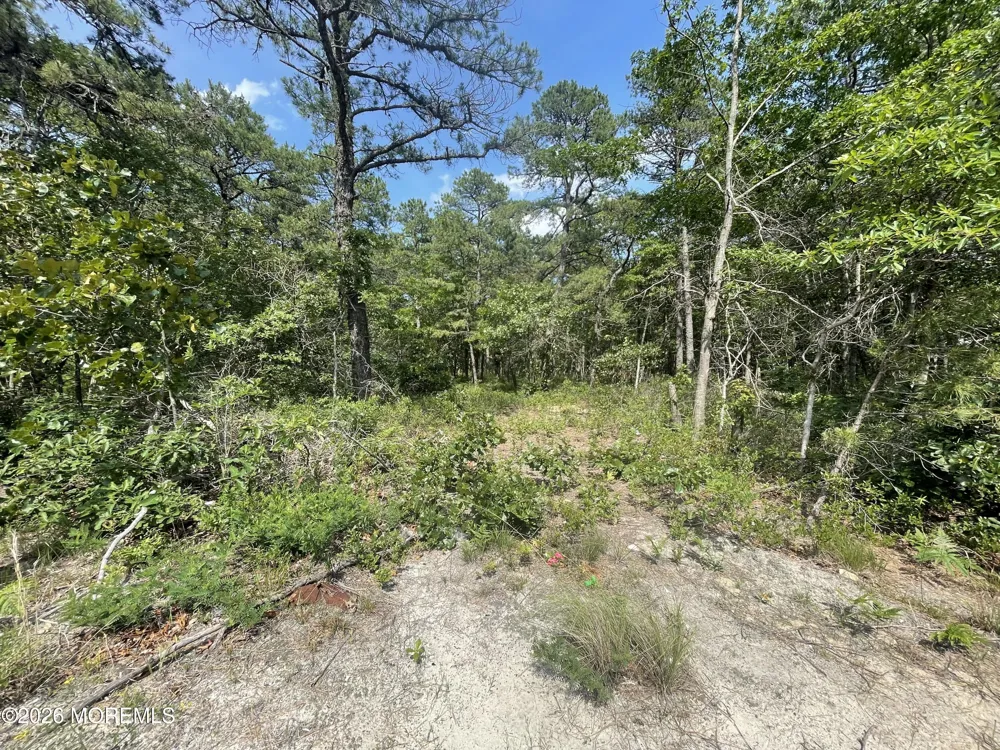 1463 Route 539 Little Egg Harbor, NJ 08087