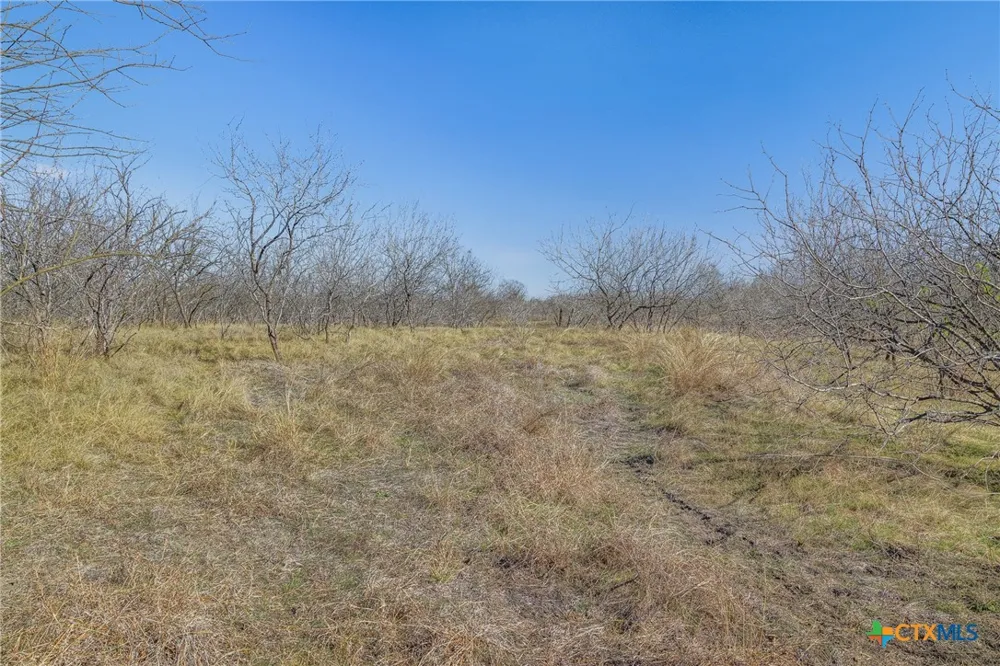 5225 Fm 2001 Buda, TX 78610
