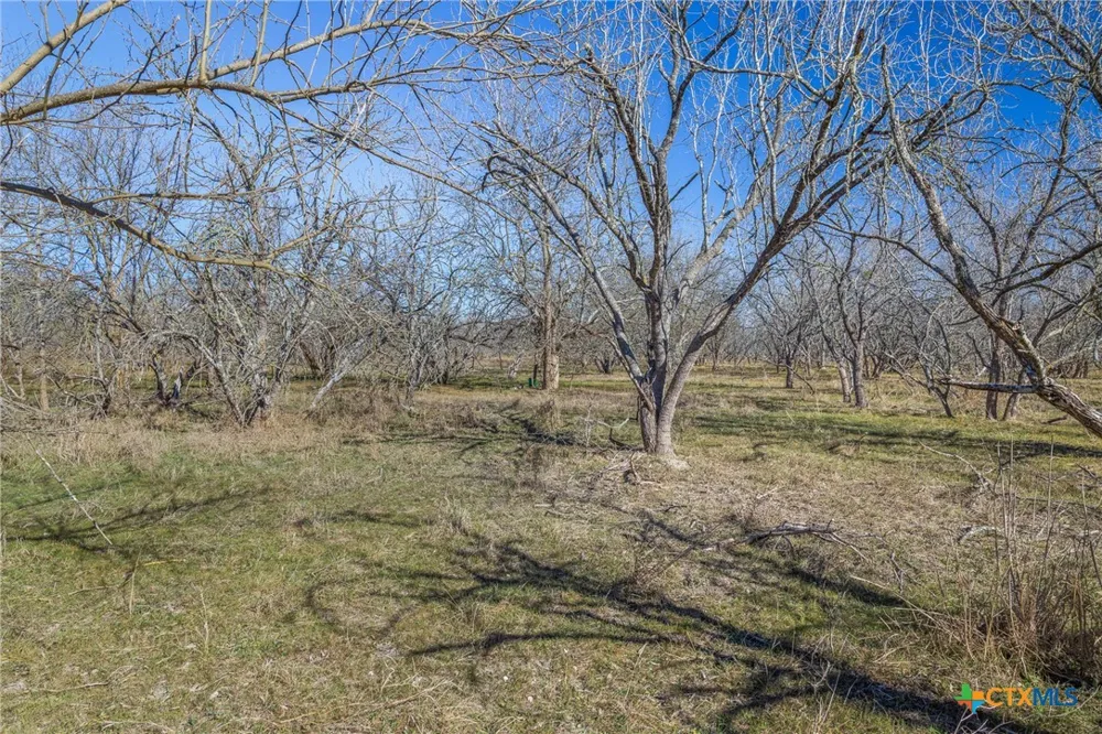 5225 Fm 2001 Buda, TX 78610