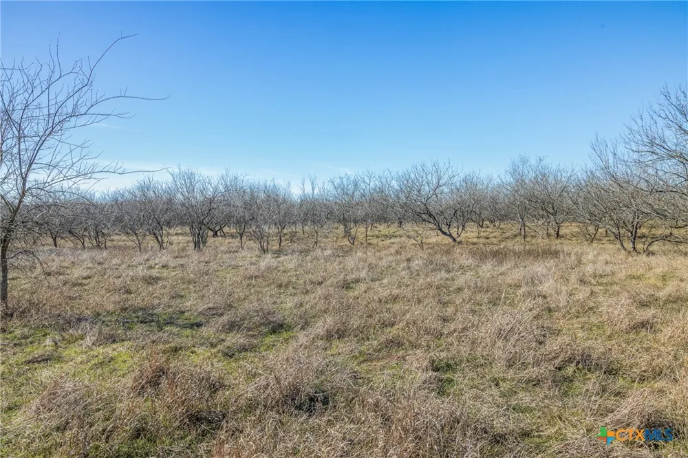 5225 Fm 2001 Buda, TX 78610
