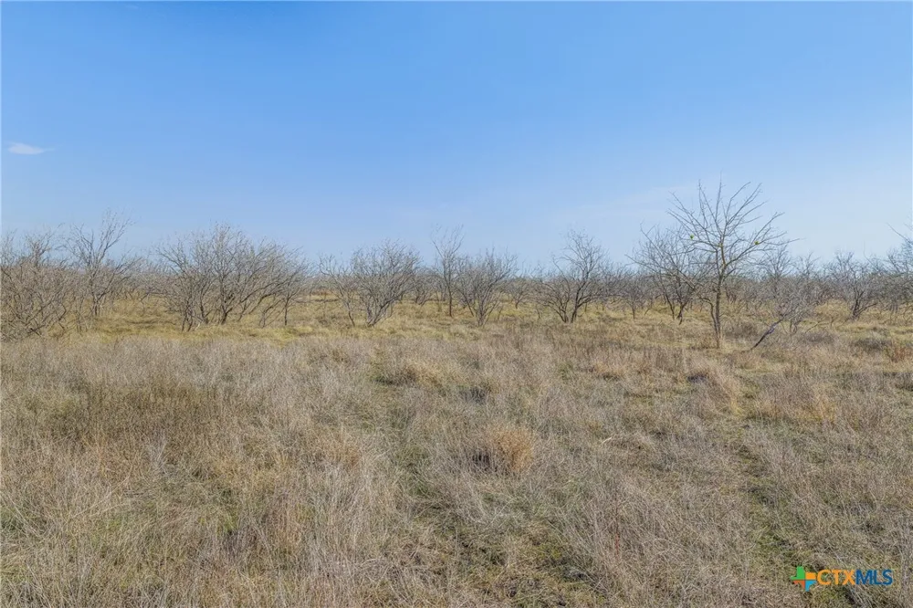 5225 Fm 2001 Buda, TX 78610