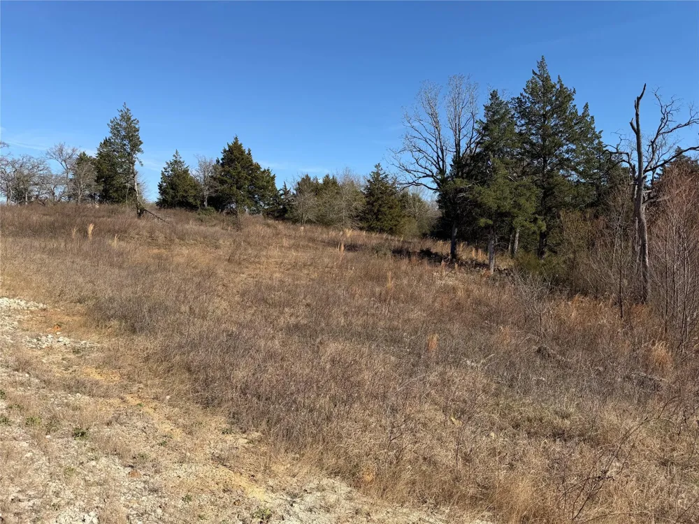 20 Cr 389 Jewett, TX 75846