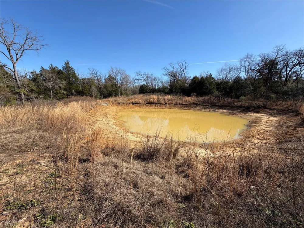 20 Cr 389 Jewett, TX 75846