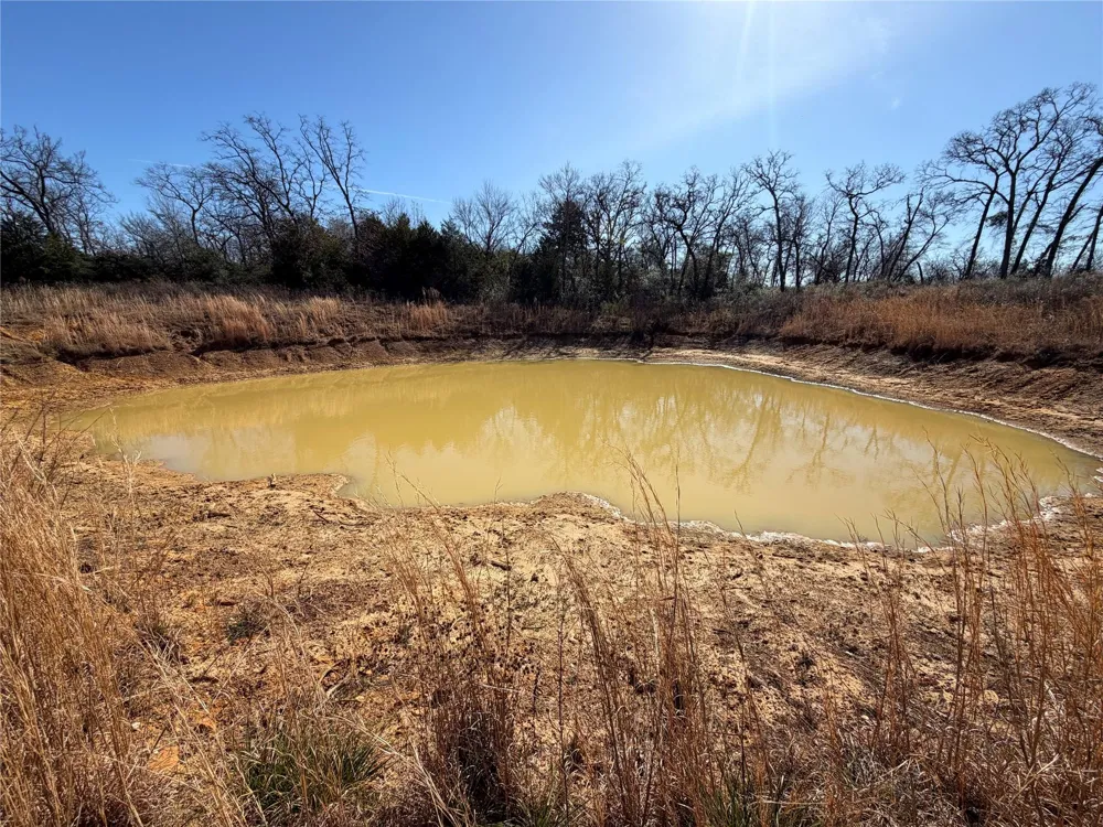 20 Cr 389 Jewett, TX 75846