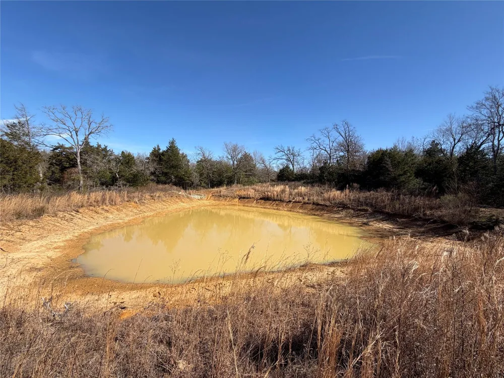 20 Cr 389 Jewett, TX 75846