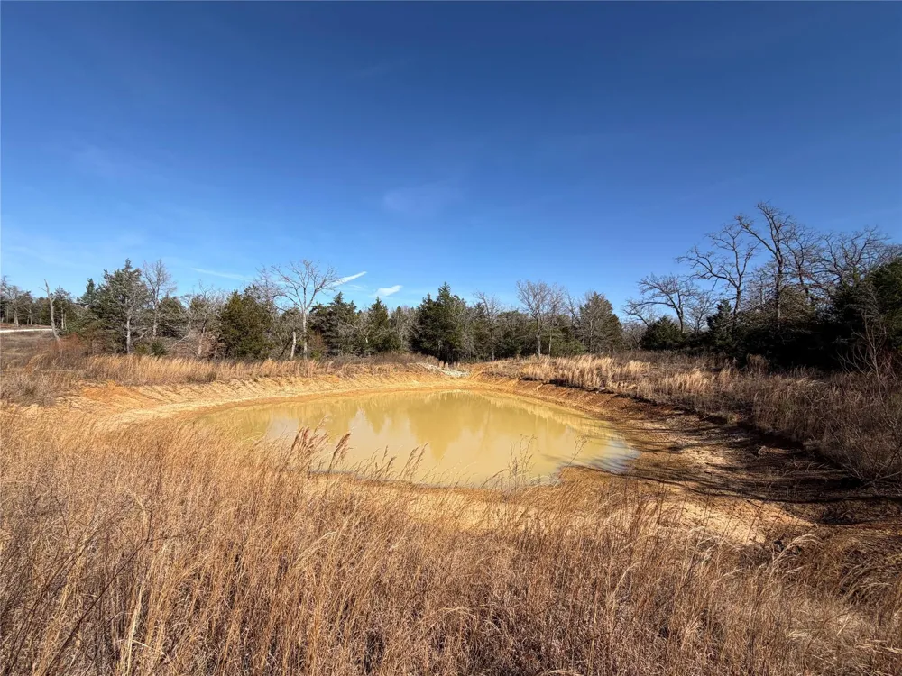 20 Cr 389 Jewett, TX 75846