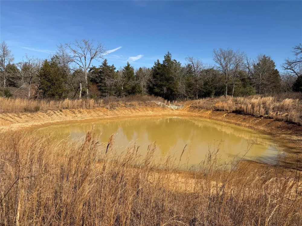 20 Cr 389 Jewett, TX 75846