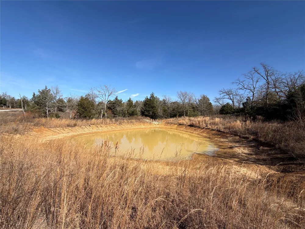 20 Cr 389 Jewett, TX 75846